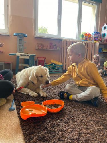 OGÓLNOROZWOJOWE ZAJĘCIA EDUKACYJNE Z PSEM W GRUPIE MUCHOMORKI I MOTYLKI