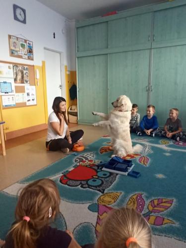 OGÓLNOROZWOJOWE ZAJĘCIA EDUKACYJNE Z PSEM W GRUPIE JAGÓDKI